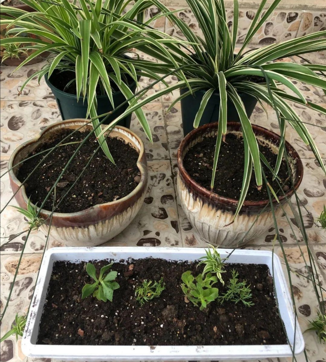 田地里的土壤太硬怎么办,土壤太硬了怎么变松散