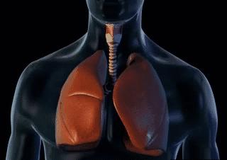 成年人哭完一直抽搐怎么回事,哭了之后身体发抖为什么