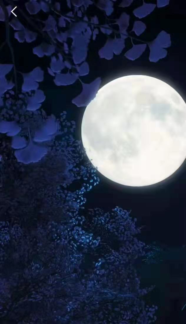 探究DRTA教学法在小学英语阅读中的运用