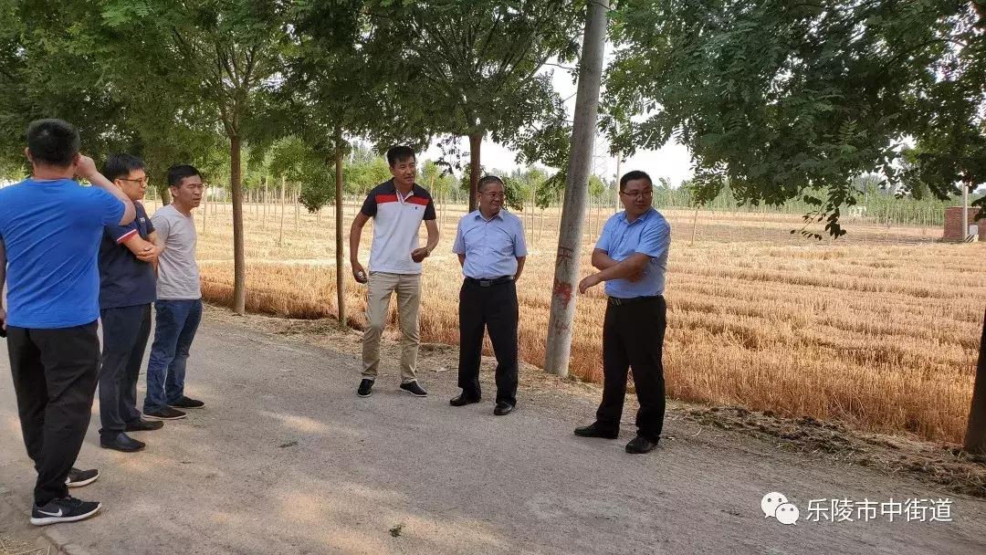 重点工作周报,街道工作周报