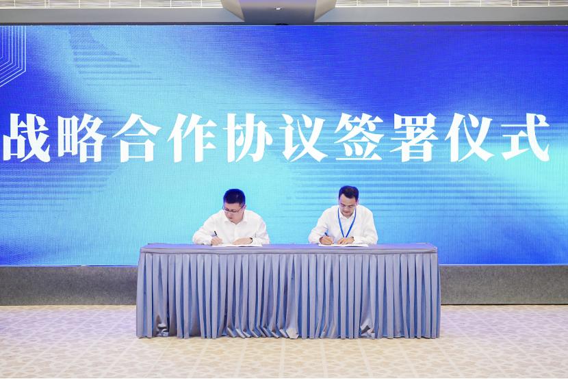 自主软件开发平台,软件开发自主可控