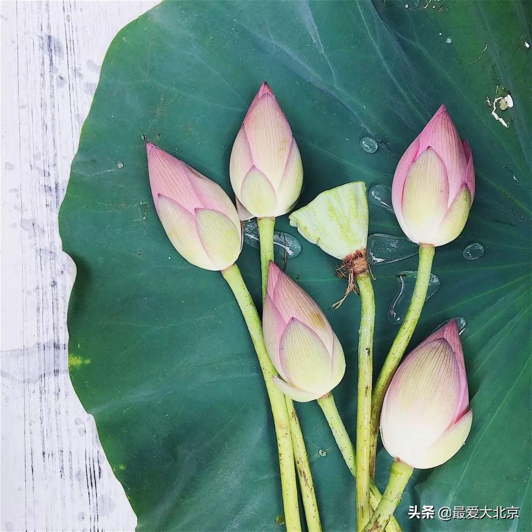 夏至吃面是什么面,夏至吃面必备三种美食