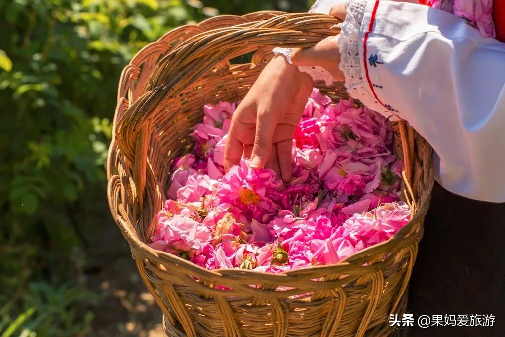 这8个国家格调高消费低,攒点小钱,带上白本说走就走