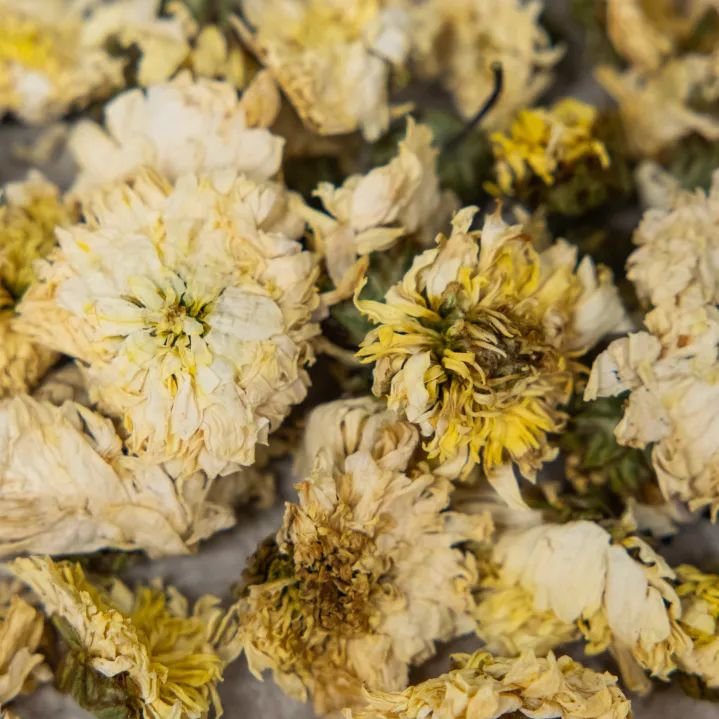 济南芝士厚乳茶,三里屯芝士厚乳茶