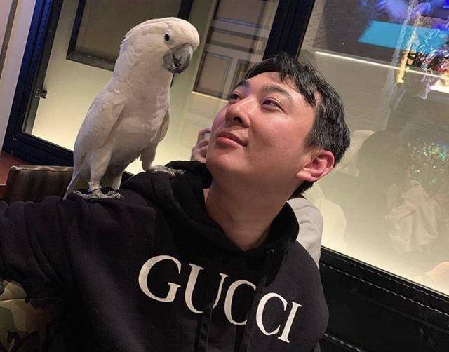 王思聪去日本玩,王思聪去米其林吃饭