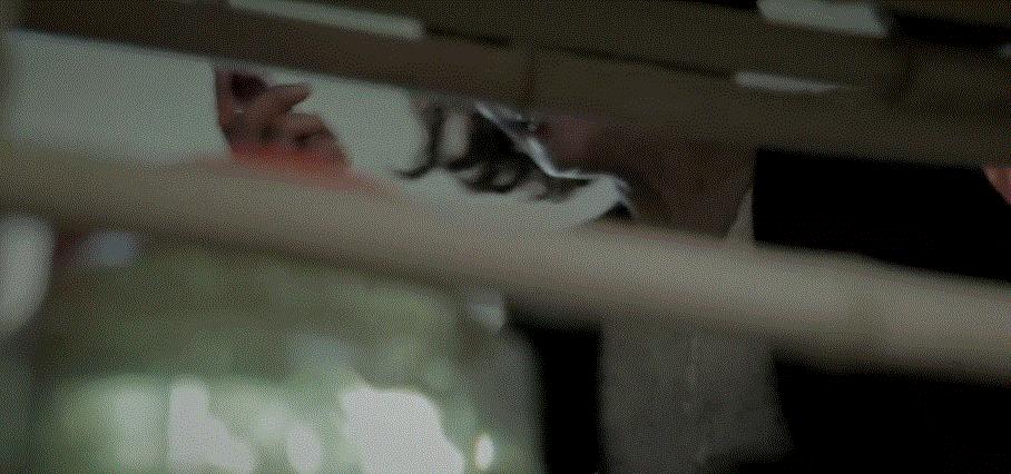 金狮级R片，人性·真不敢直视