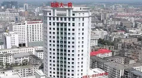 哈尔滨一座不用担心温饱的城,哈尔滨是一个硬核的城市