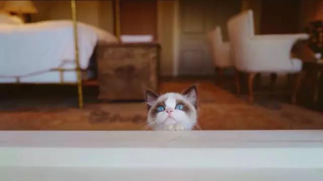 「JALOUSE」有一说一,我确实馋他们的身子