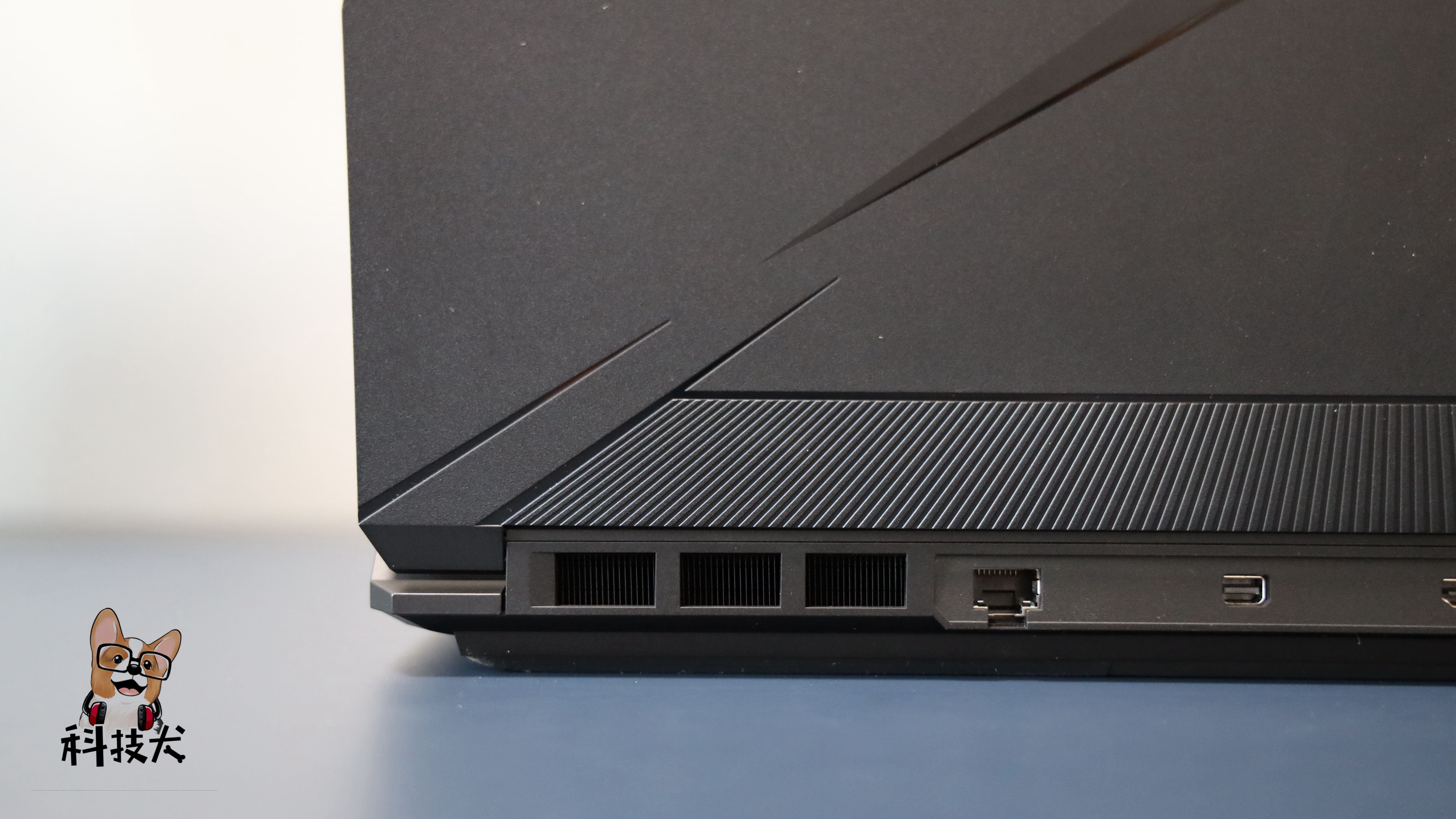 柯基狗幼犬多少钱一只,柯基犬最值得买的耳机