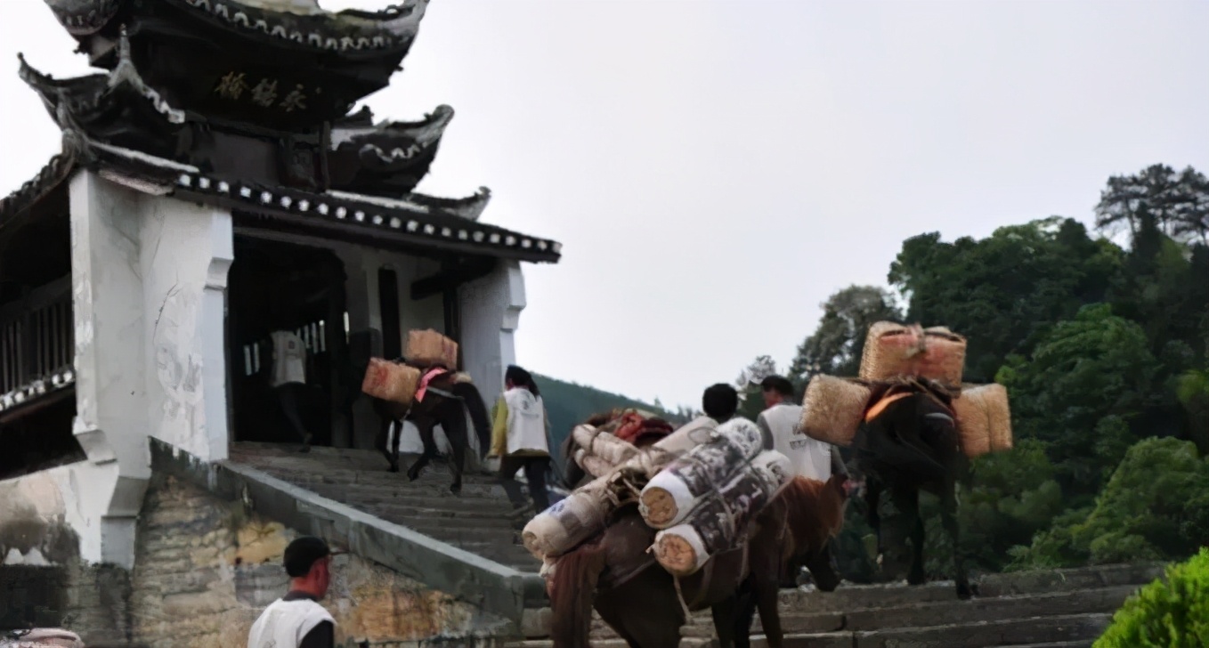茶马古道上的千年茶香,茶马古道茶文化