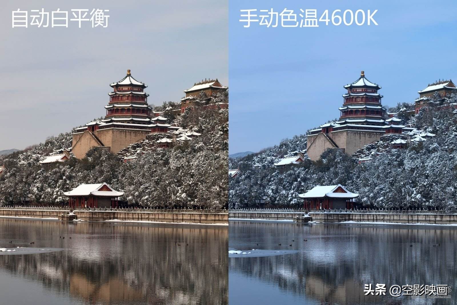 摄影相机功能介绍,新手学习摄影相机推荐