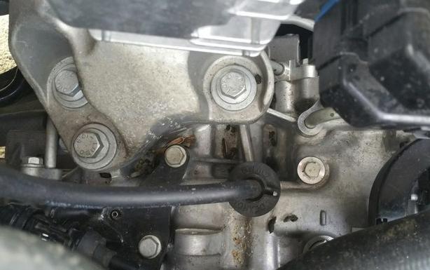 发动机舱进老鼠用什么去除比较好,发动机舱进老鼠怎么处理最好