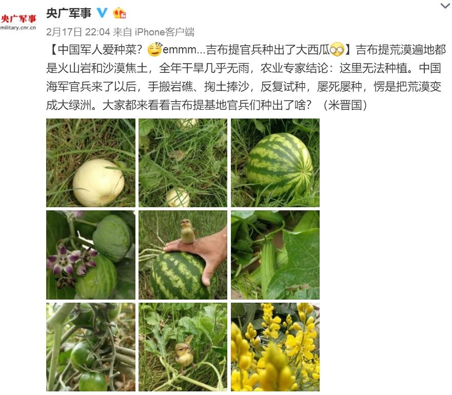 看到以色列有什么感想,以色列是否租了港口给中国