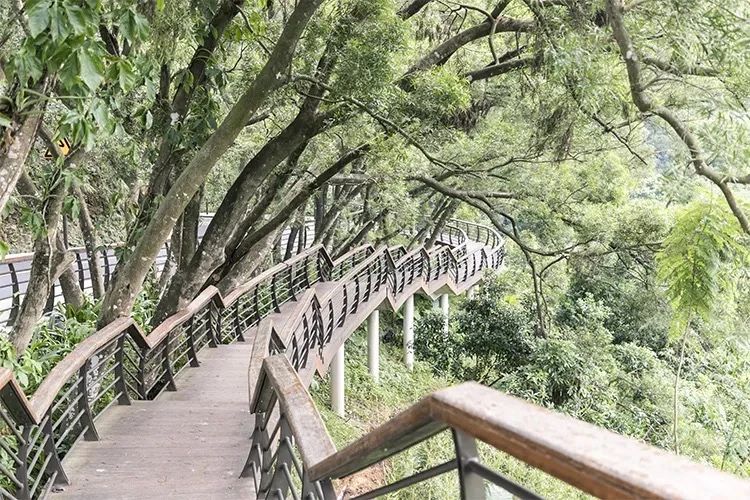 深圳吃喝玩乐两日游推荐,深圳周边游吃喝一日游推荐