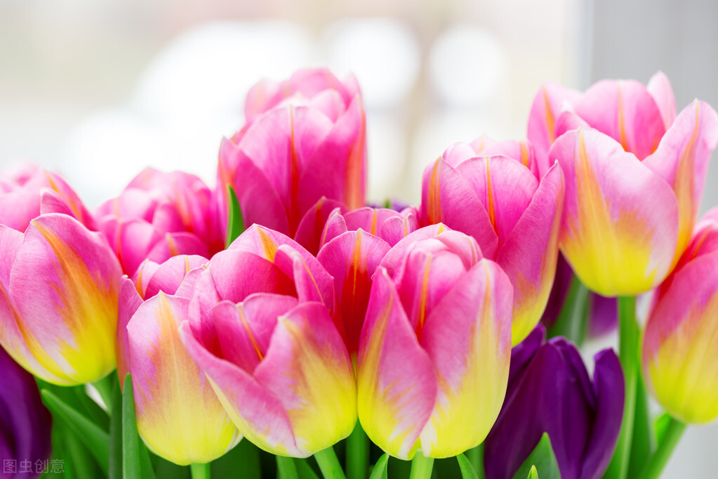 疫情期间的超市小票，打败了我可笑的婚姻