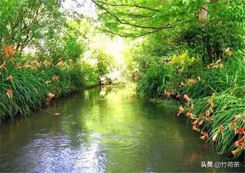 拥一颗素心守一方静谧什么意思,用一颗素心守一方静谧