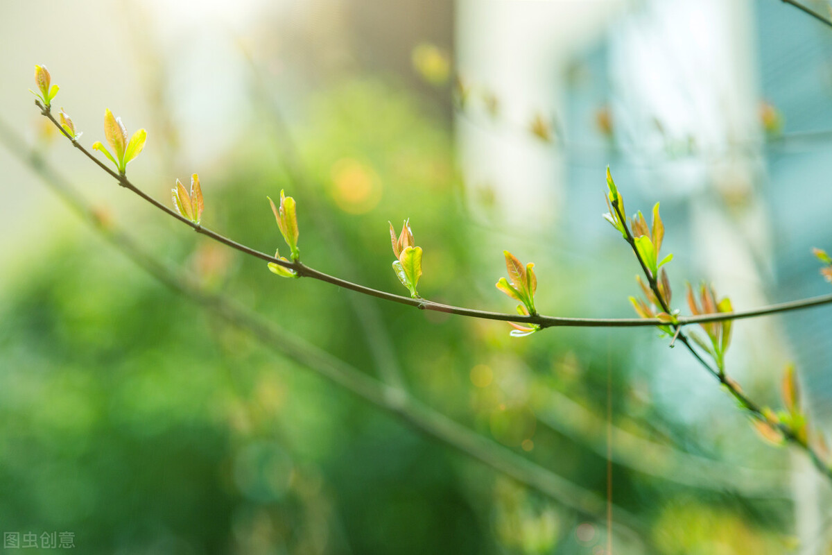 32首关于清明的古诗词,描写清明节的古诗50首