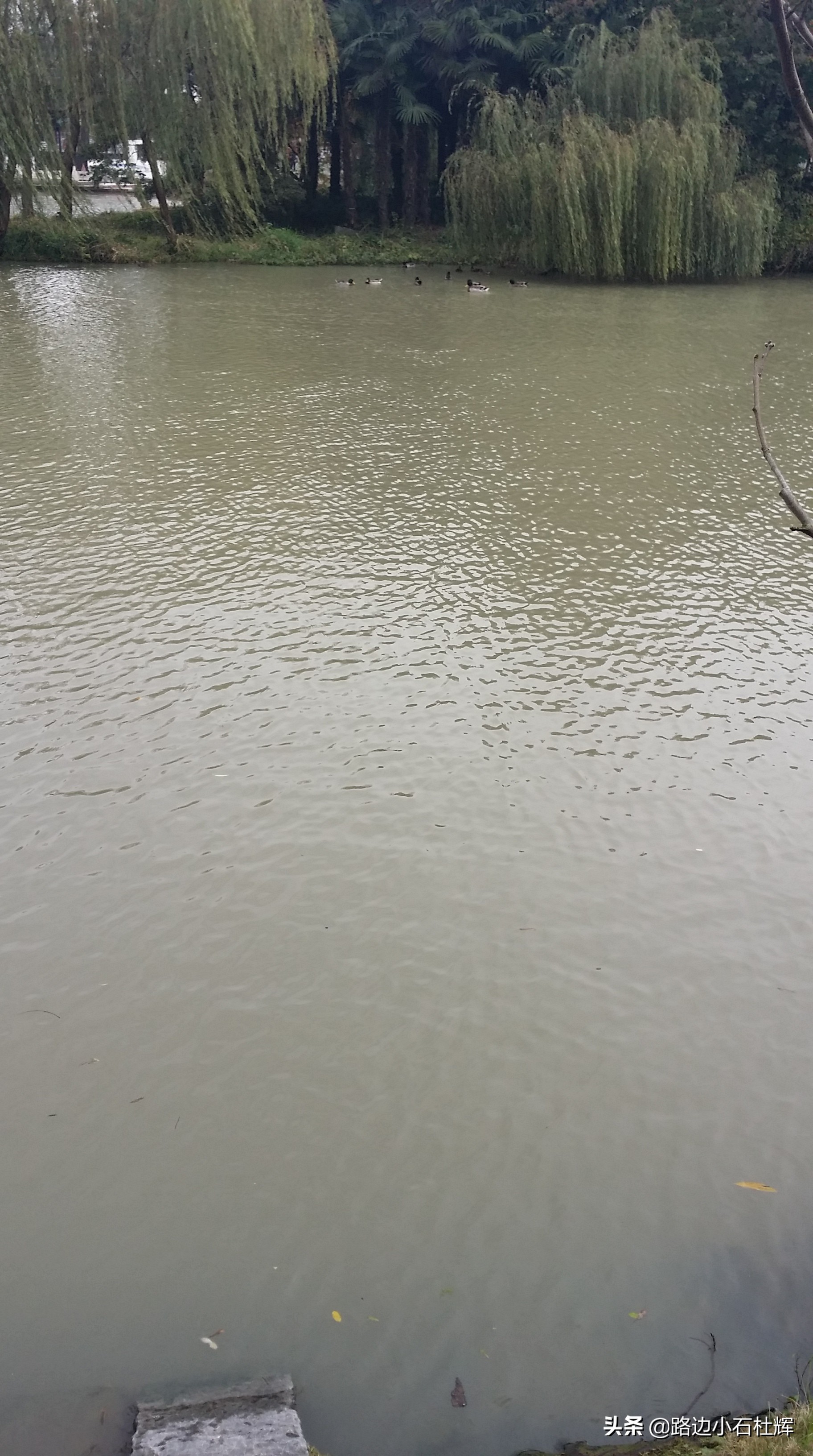 扬州瘦西湖之行,扬州瘦西湖游一圈