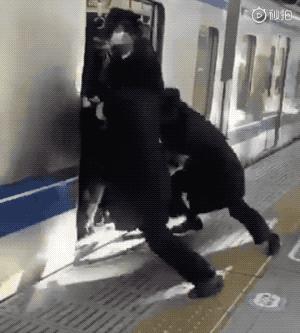 日本地铁进出站全过程,日本地铁有时间限制吗