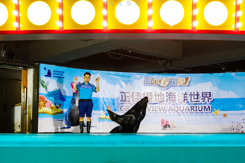 海洋极地海洋世界攻略,正佳极地海洋世界白鲸海象