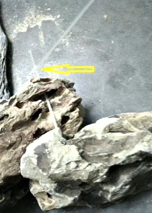 草缸造景教程:胶水造景太温柔,男人就该上电钻