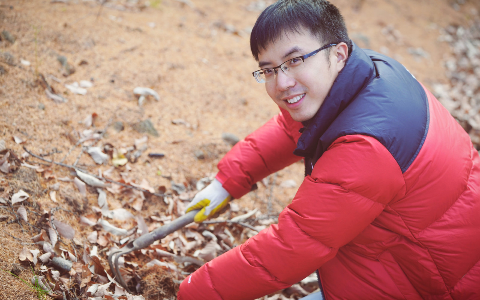 哇,人参随便挖!韩国还能这么玩