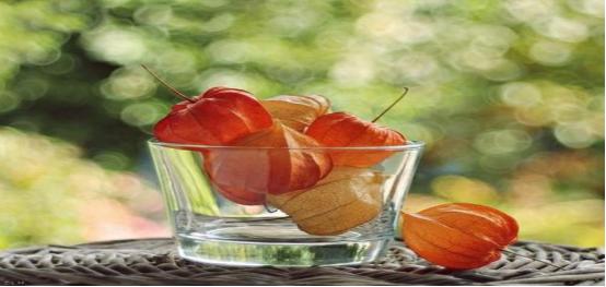 知足常乐有你陪伴不孤单,知足常乐心中才能装满幸福