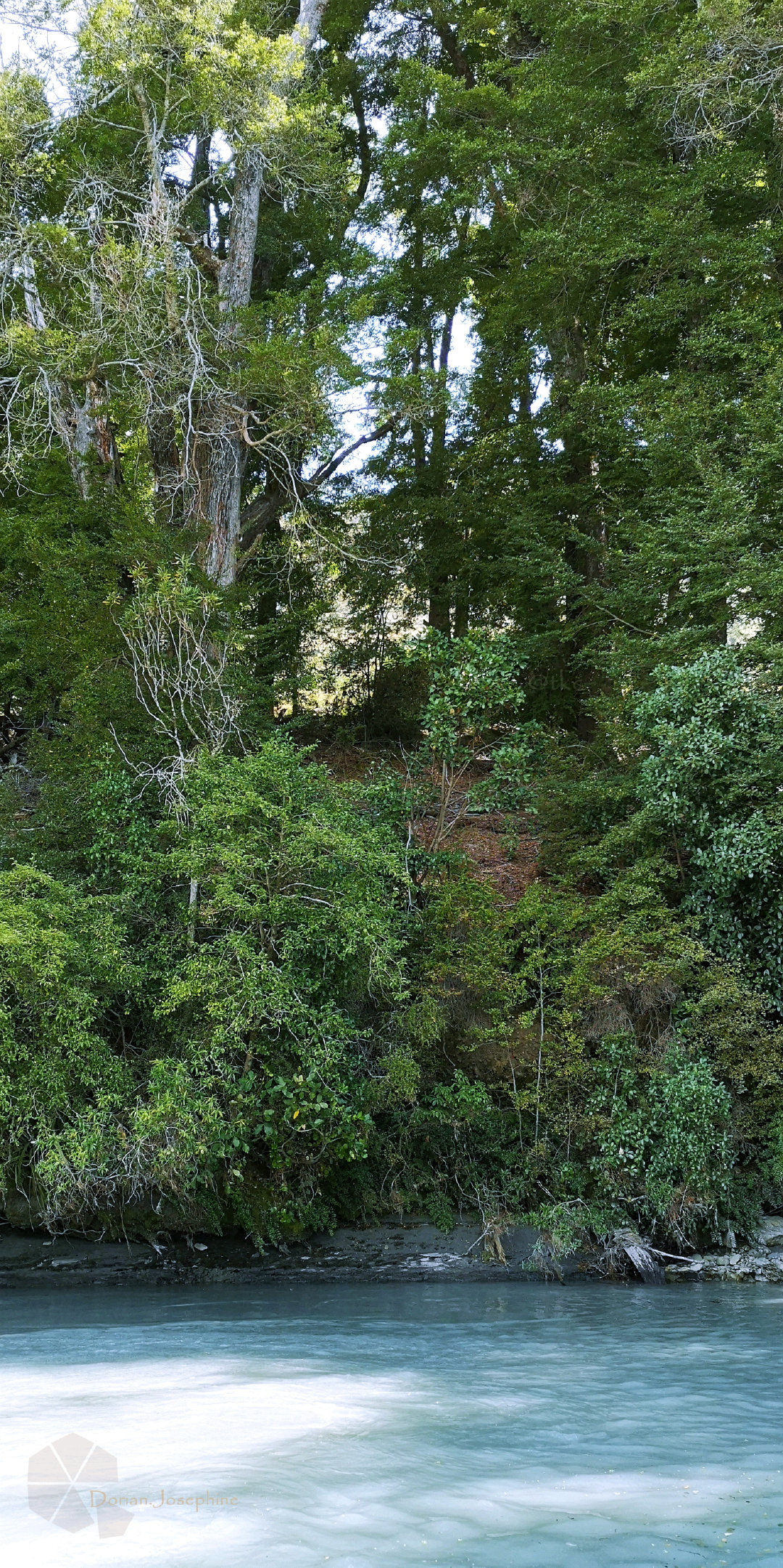 新西兰南岛一日游,新西兰南岛旅游地图