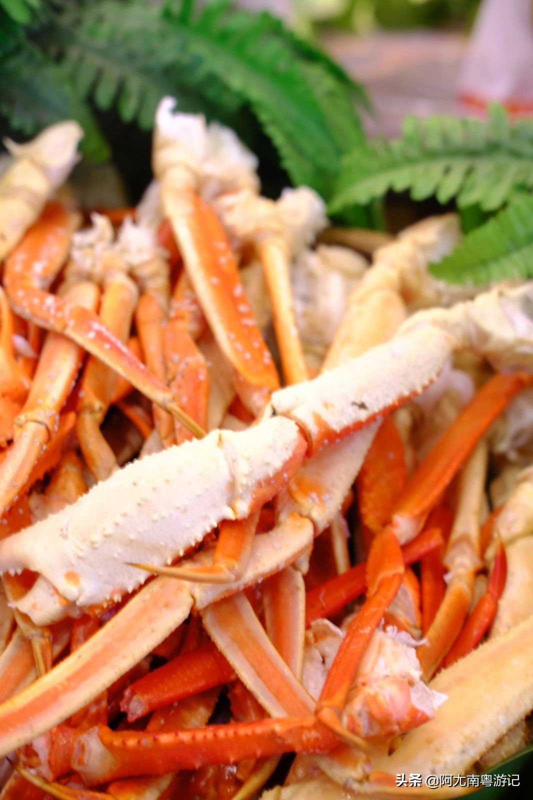 云南昆明有海鲜自助餐吗,云南昆明市自助餐推荐