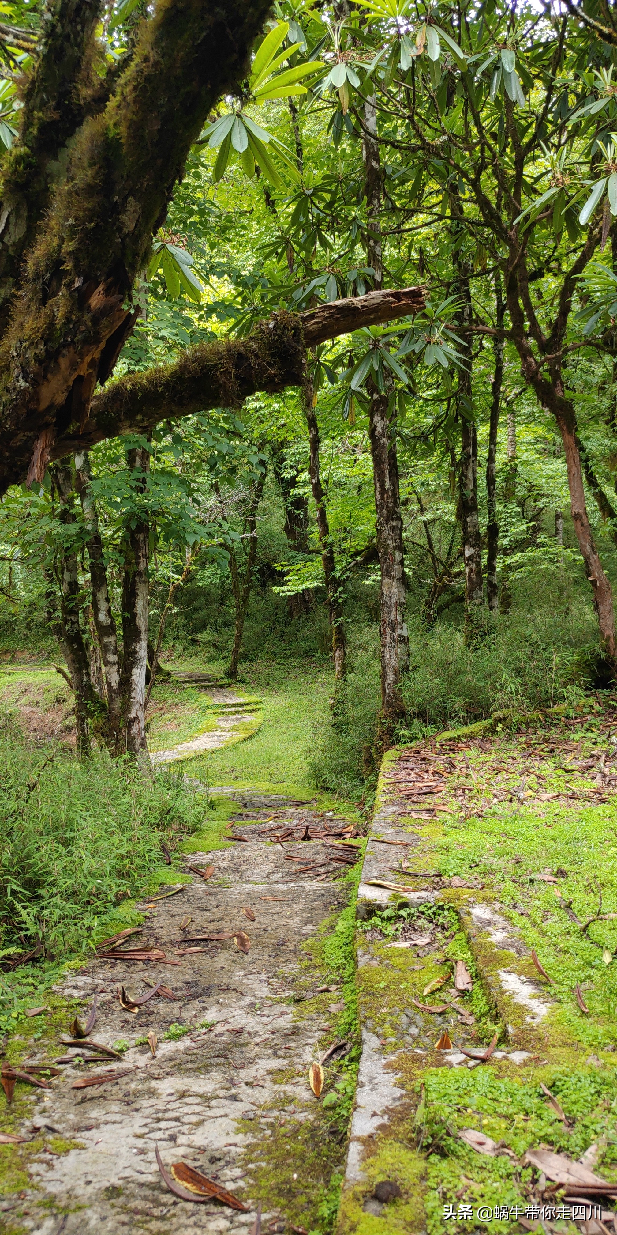 带小朋友出去看小动物,带小孩去海洋动物园