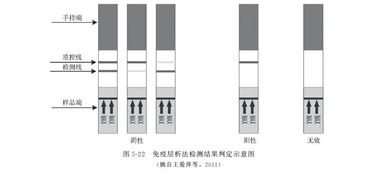 动物源性成分检测,动物源食品检测