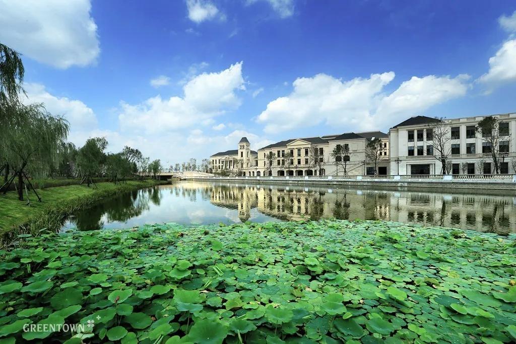 多年后还是你年轻模样,多年后你还是原来的你