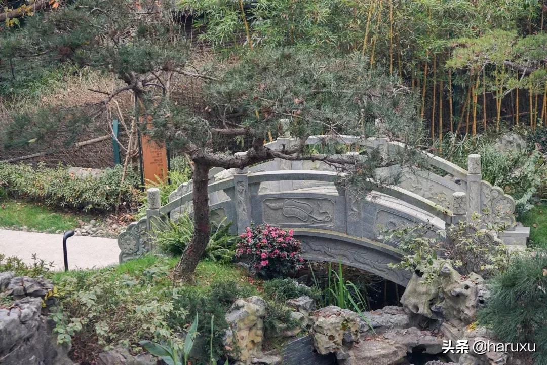 寻梦九溪风景区,寻梦九溪风景图片