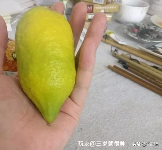 栗子，也能玩？这算啥，看看我玩的