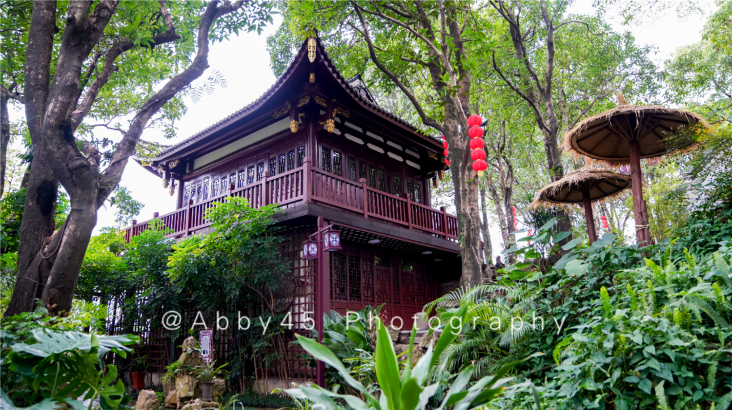 国内十大兰圃之一在福州，莫负好*光春**，免费尽享兰花的春之盛宴