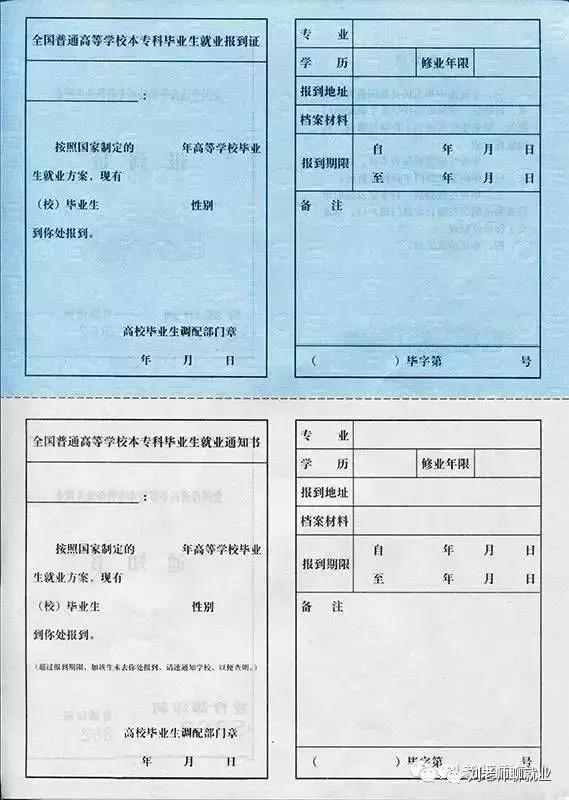 政策|关于报到证的辟谣和解读