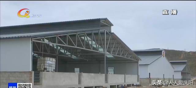 庆阳市重点项目建设,庆阳市最新项目