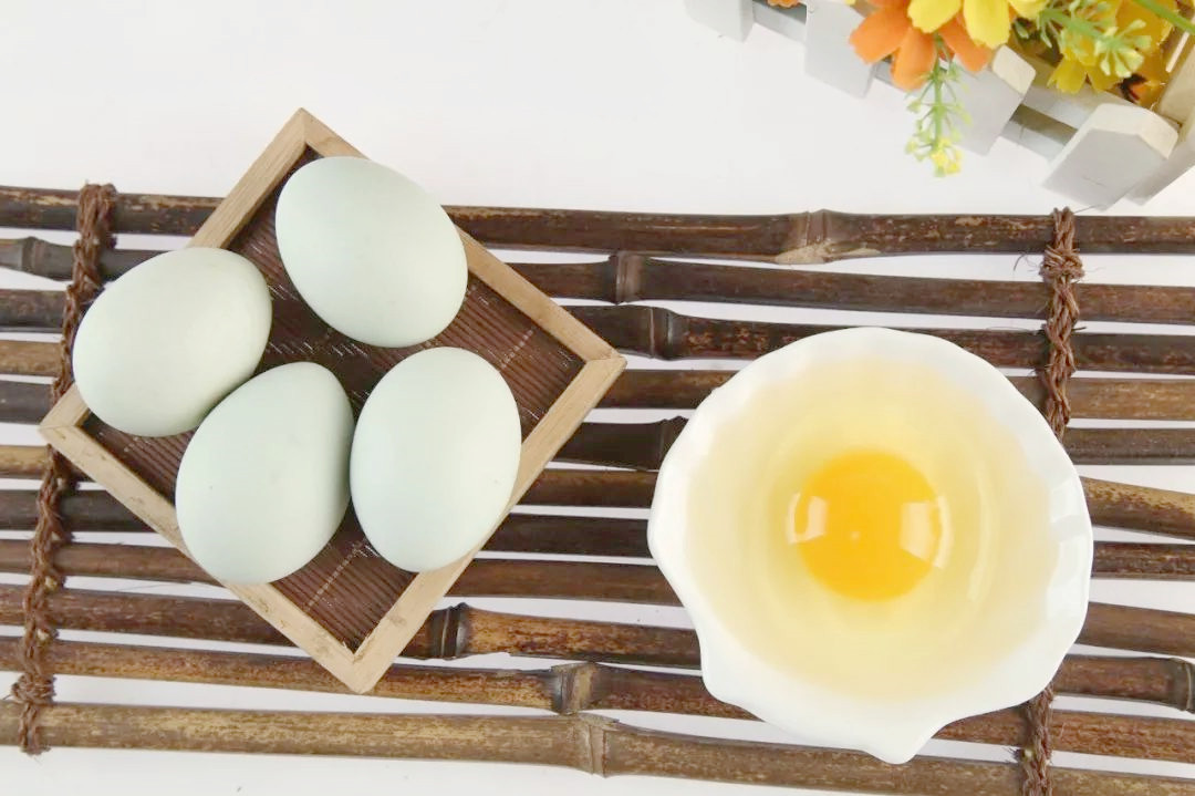 五黑鸡蛋与绿壳鸡蛋怎么区别,绿壳鸡蛋都是散养的鸡下的吗