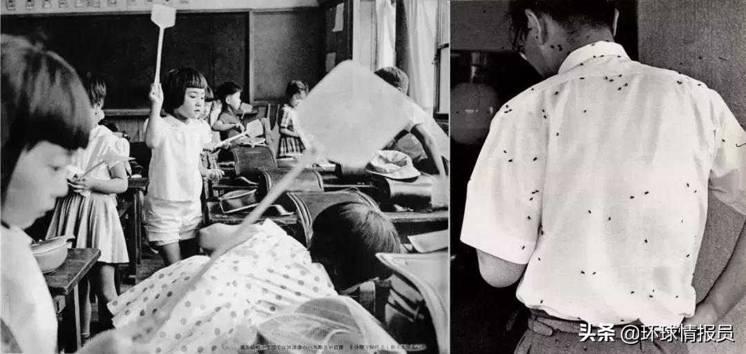 日本垃圾处理现状,全世界垃圾处理最优的方式