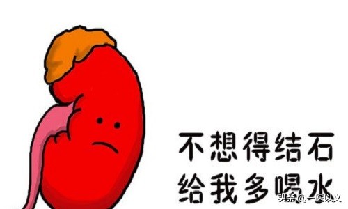 肾结石预防和治疗,肾结石如何预防多发性结石