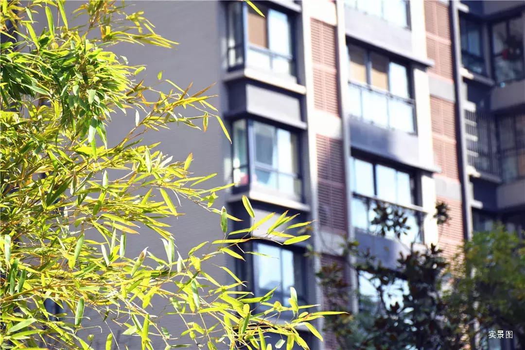 金泰滨江花城2期,金泰滨江花城小高层值不值得买