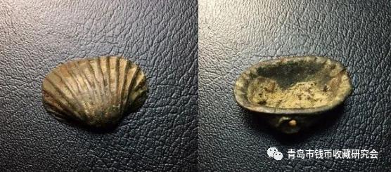 浅析收藏中关于货贝形制的辨识问题