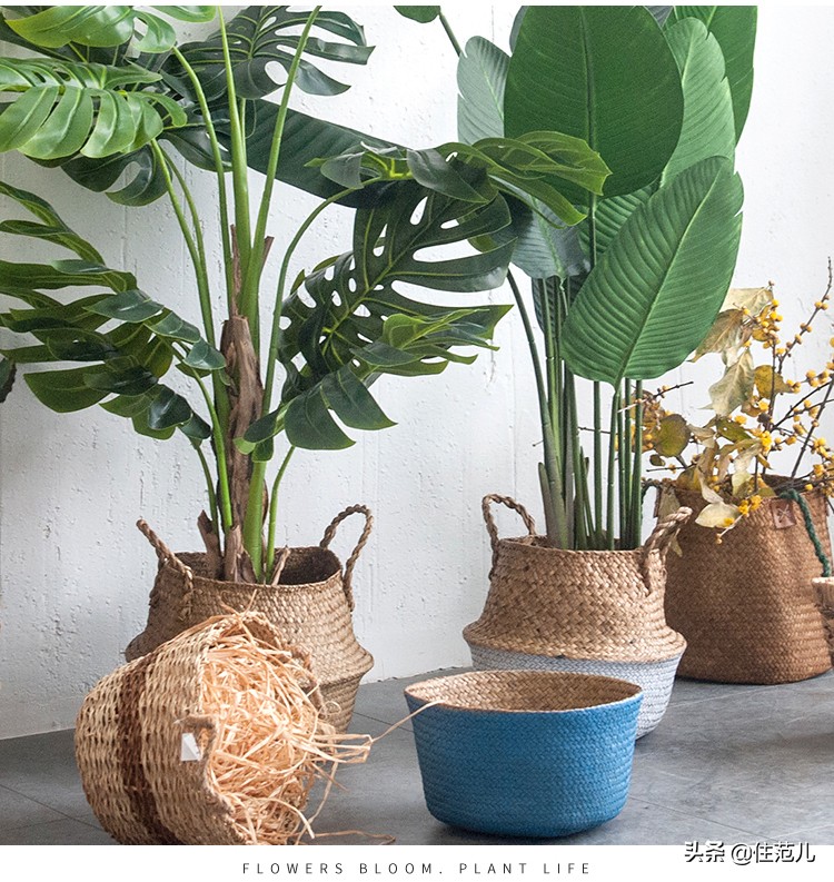 40平米阳台花园打造方法,阳台打造花园效果图大全