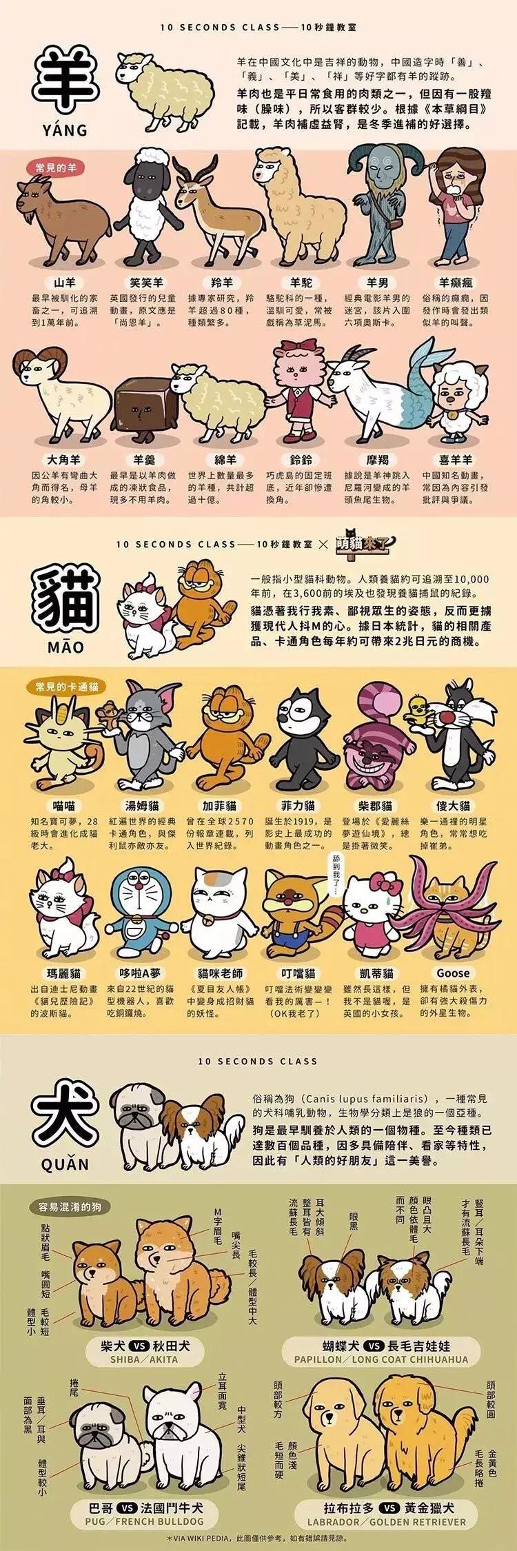 二次元科普视频全集,二次元科普视频讲解