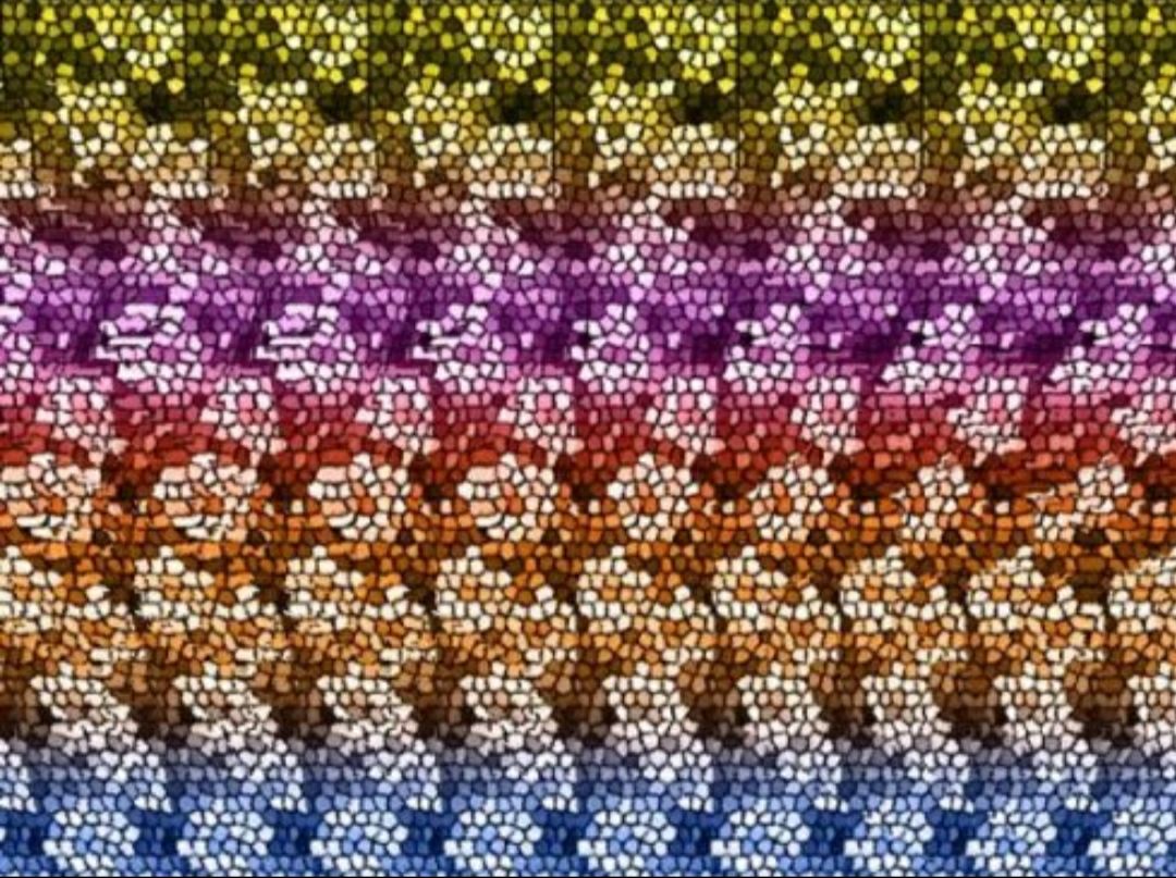 有意思的三维视频,三维立体图片大全