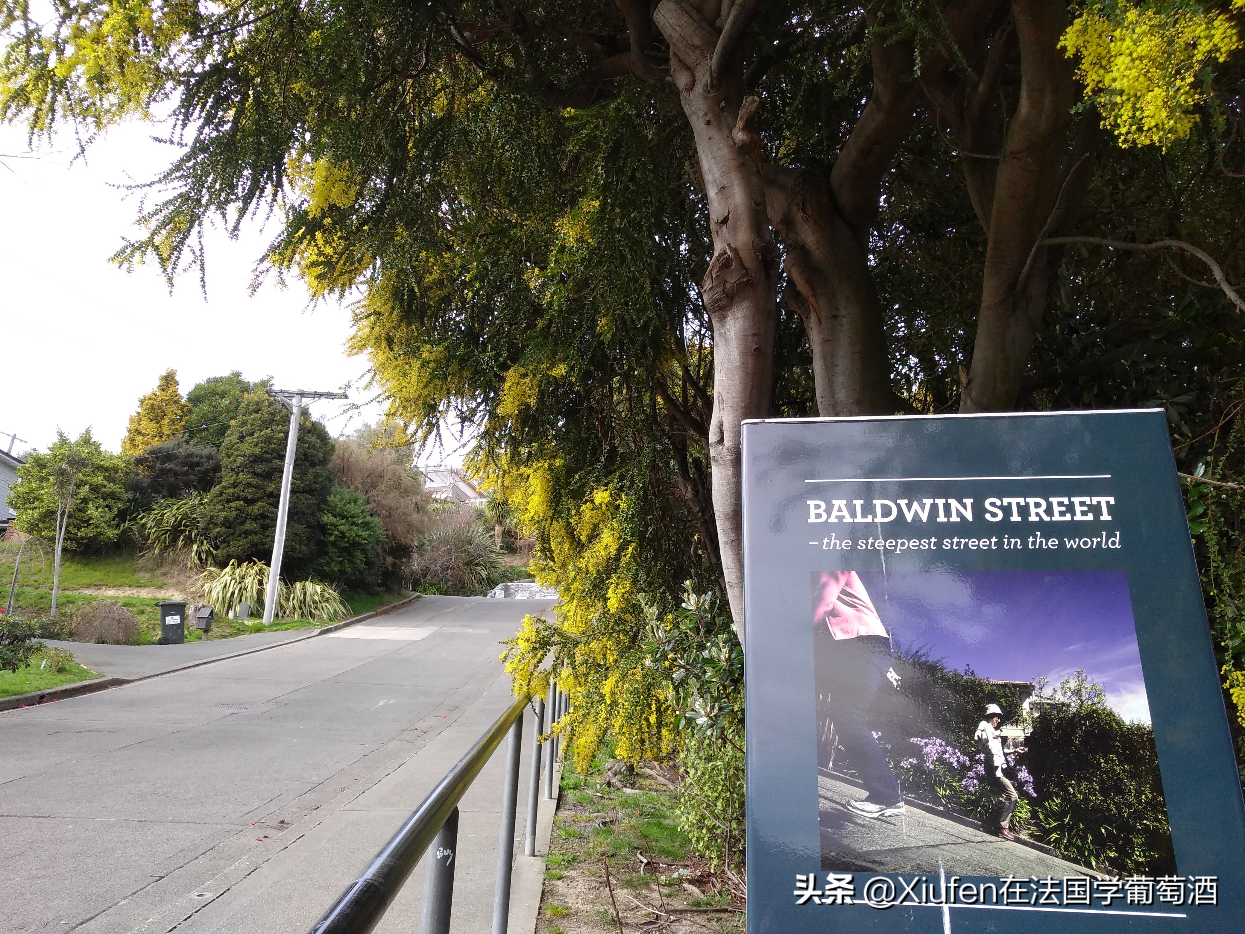 我到过的那些世界非著名城市之新西兰但尼丁DunedinNZ