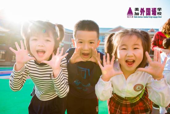 什么样的幼儿园环境最好,什么样的幼儿园最好看