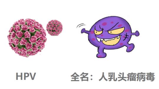 hpv九价疫苗科普视频,关于HPV疫苗的科普
