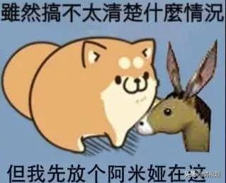 方舟生存进化手机塔防,与明日方舟类似的塔防游戏