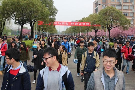 中国小学教育现象,小学教育会造成脑损伤吗